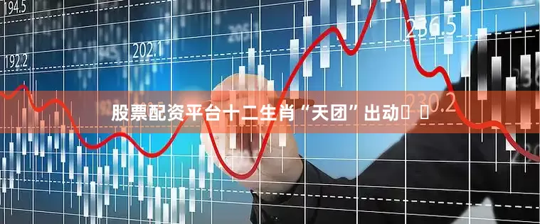 股票配资平台十二生肖“天团”出动‌‌